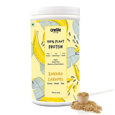 Onelife Plant Protein 34gm Scoop (Pea Protein Isolate, Brown Rice ...