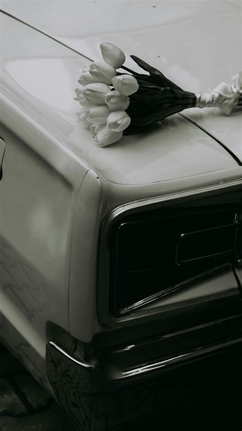 Image result for Retro HD Loops