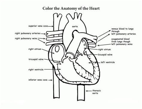Image result for Heart Rate Sensor Raspberry Pi