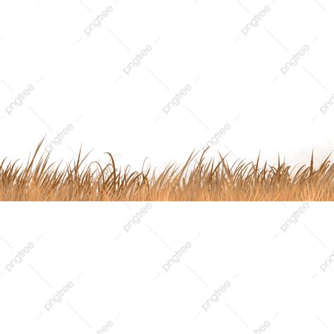 Grasses PNG Image, Grass, Lawn, Yellow Lawn, Yellow Meadow PNG Image ...