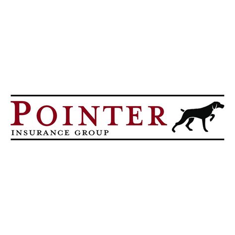 Pointer Insurance Claims 的图像结果