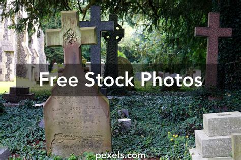 Image result for Stone Lettering Paint