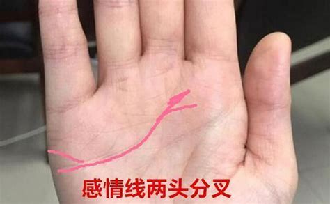 女人右手感情线分叉2条代表什么(注定二婚的女人手相)-风水人