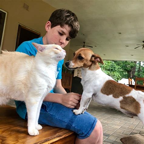 LOWDEN LODGE (Luanshya) - Guesthouse Reviews & Photos - Tripadvisor