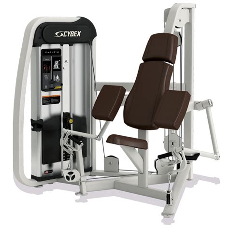 Image result for Cybex Arm Curl Machine