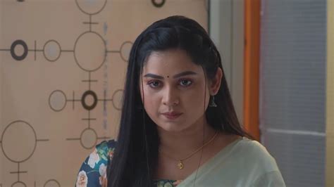 Shree TV Serial - Watch Shree Online All Episodes (1-120) on ZEE5