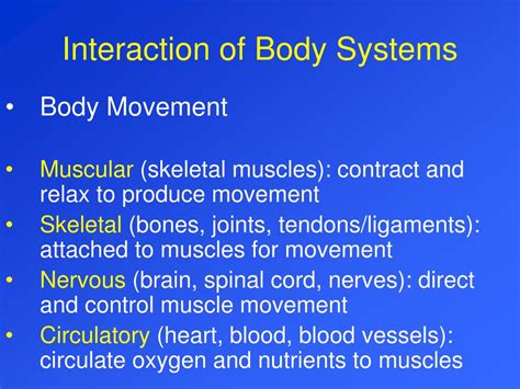 Body System Interaction Chart 的图像结果