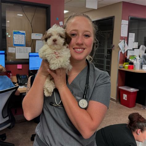 Hampden Family Pet Hospital | Meet Dr. Erika Delker, our newest doctor ...