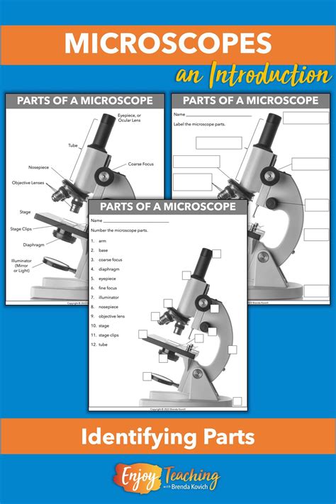 Image result for How To Use A Microscope For Elementary Students