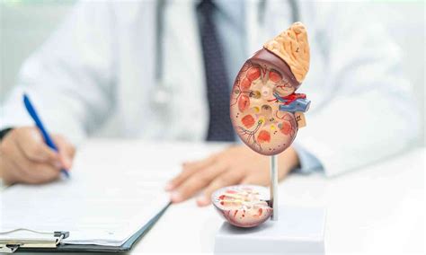 Women's CKD Cases Triple Globally in Three Decades, Reveals Study