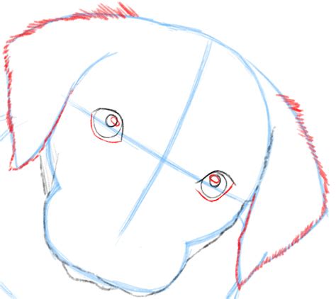 Image result for Tutorial Draw Dog
