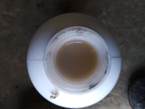 Green Dual - Bio Fertilizer - Bio Pesticide - Bacillus subtilis ...