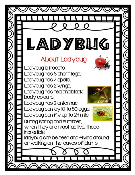 All About Ladybug Information Booklet | Ladybug life cycle activities ...