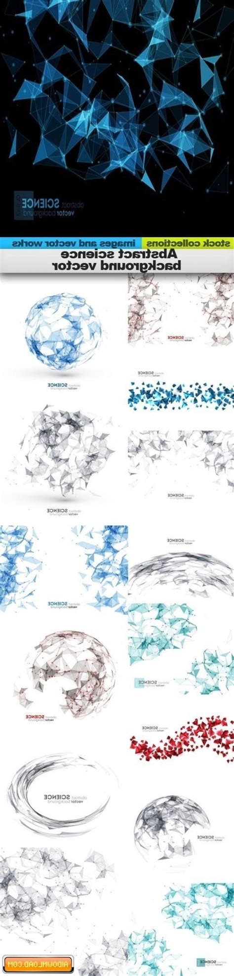 Image result for What Is a Vector Computer Science