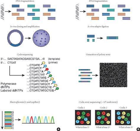 Next-Gen Sequencing 的图像结果