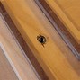 Image result for Table Saw Rip Jig