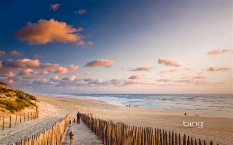 HTTP Bing Images 的图像结果