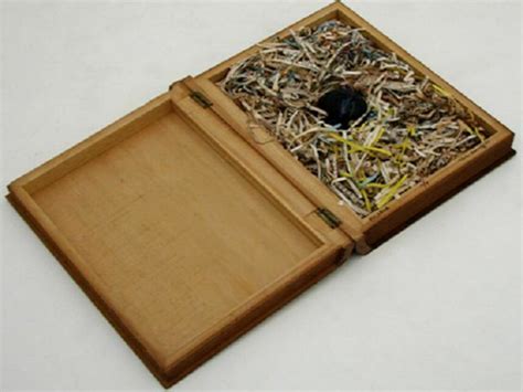 Paulo Bruscky, Parlarva (Word/worm), 1992, 10 1/8 x 8 x 2 1/8 in ...