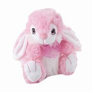 Image result for Pics with Easter Bunny