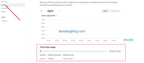 Chat GPT Free API 的图像结果