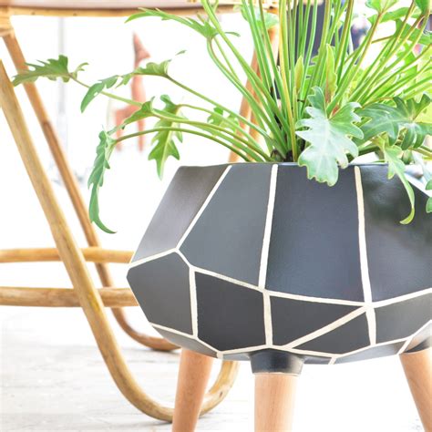 10 Indoor Plants & Planters | Nestasia
