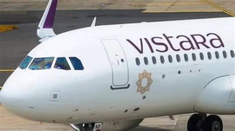 Stray dog on Goa airport runway forces Vistara flight to return to ...