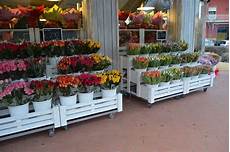 negozio fiori realizzazione negozio fiori fiori borgo buggiano negozio fiori realizzazione negozio fiori fiori borgo buggiano