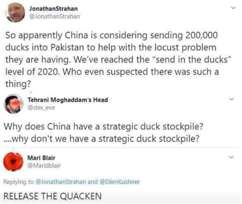 Image result for Raid Shadow Legends Sponsor Script