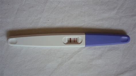 Chances of False Negative Pregnancy Tests - Step By Step Pregnancy Guide