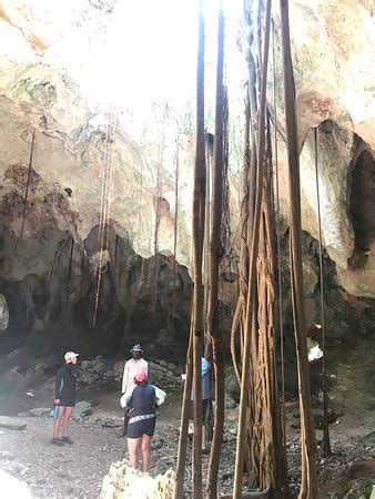 ELEUTHERA ADVENTURE TOURS (Rock Sound) - What to Know Before You Go