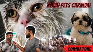 3 Best Pet Shops in Coimbatore, TN - Expert Recommendations