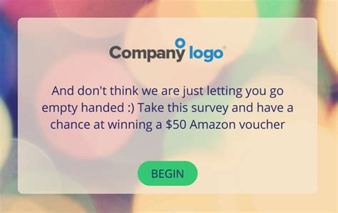 Survey Introduction Examples 的图像结果