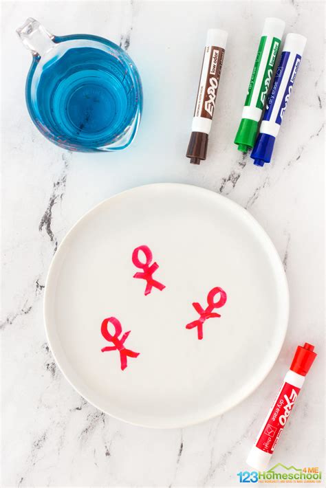 Marker 的图像结果