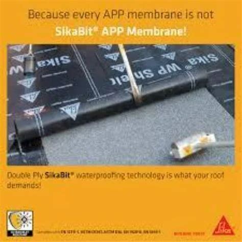 Membrane Waterproofing - App Membranes Wholesaler from Nagpur