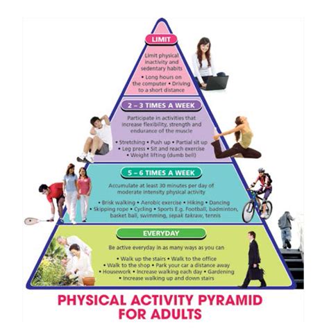 Physical Activity Examples 的图像结果