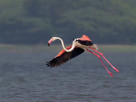 DCP | Best Nature, Wildlife and Travel Photography Workshops ...