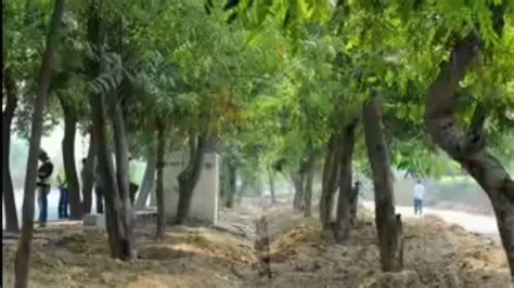 1st South Asian agroforestry, trees outside forests TREESCAPES Congress ...