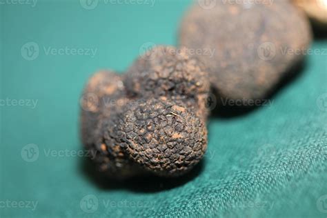 Black truffles mushrooms close up background tuber aestivum family ...