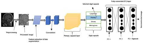 Brain Tumor Diagnosis Using Machine Learning, Convolutional Neural ...