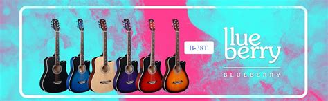 BLUEBERRY R/VIP-381, Acoustic Guitar Inbuilt Truss Rod, with Bag, Belt ...