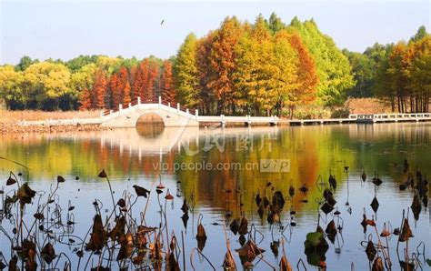 江苏苏州：虎丘湿地公园景色美-人民图片网