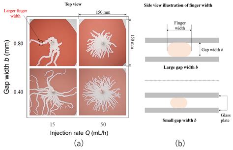 Hydrodynamic Fingering Induced by Gel Film Formation in Miscible Fluid ...