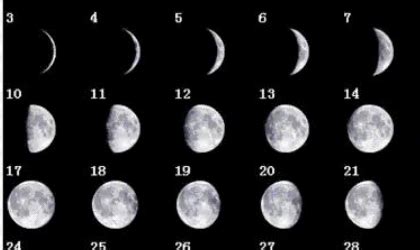 八月初一月亮是什么样形状-百度经验