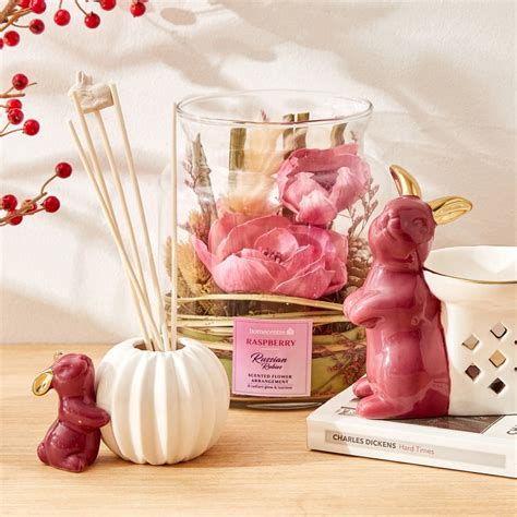 Buy Redolence Russian Rubies 4Pcs Raspberry Burner Set from Home Centre ...