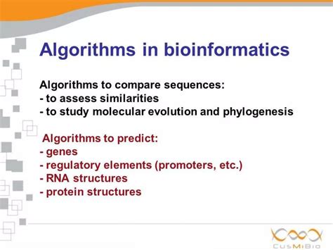 Algorithm Development Ppt Image 的图像结果