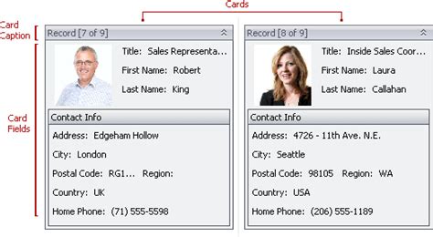 Image result for DevExpress WinForms GridView Card