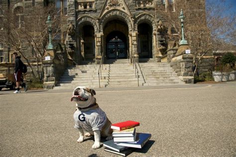 Georgetown Masters Programs 的图像结果