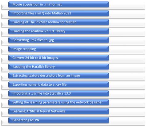 Processing Neural Networks 的图像结果