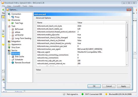 BitComet Tutorial 的图像结果