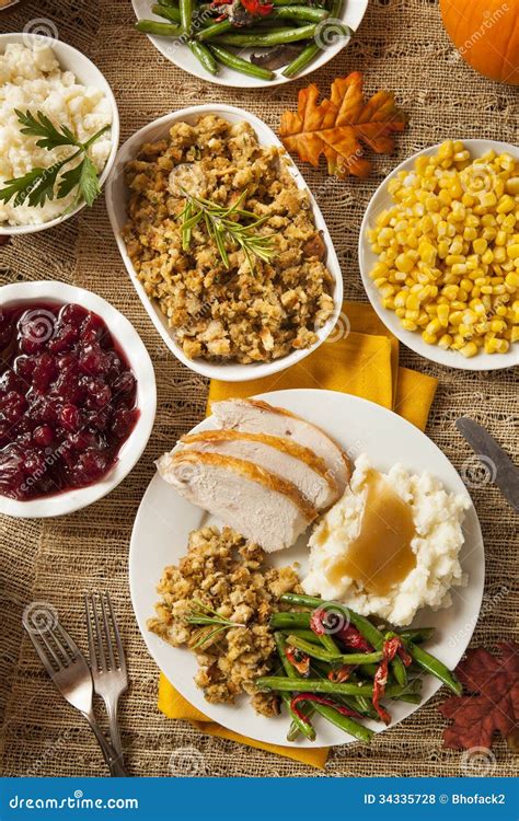 Homemade Turkey Thanksgiving Dinner Stock Photo - Image of garnished ...